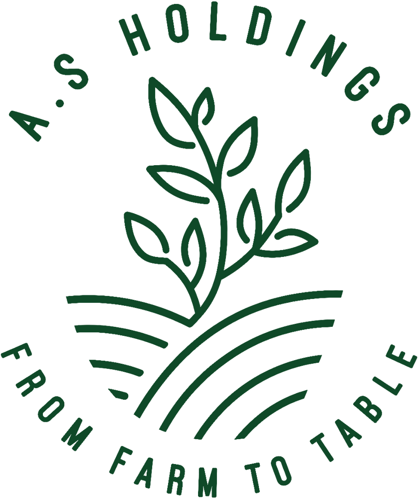 A.S. Holdings Logo
