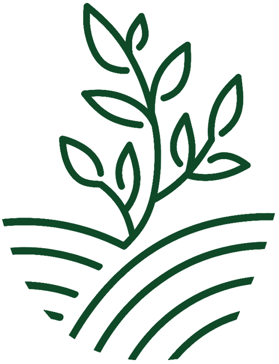 A.S. Holdings Logo